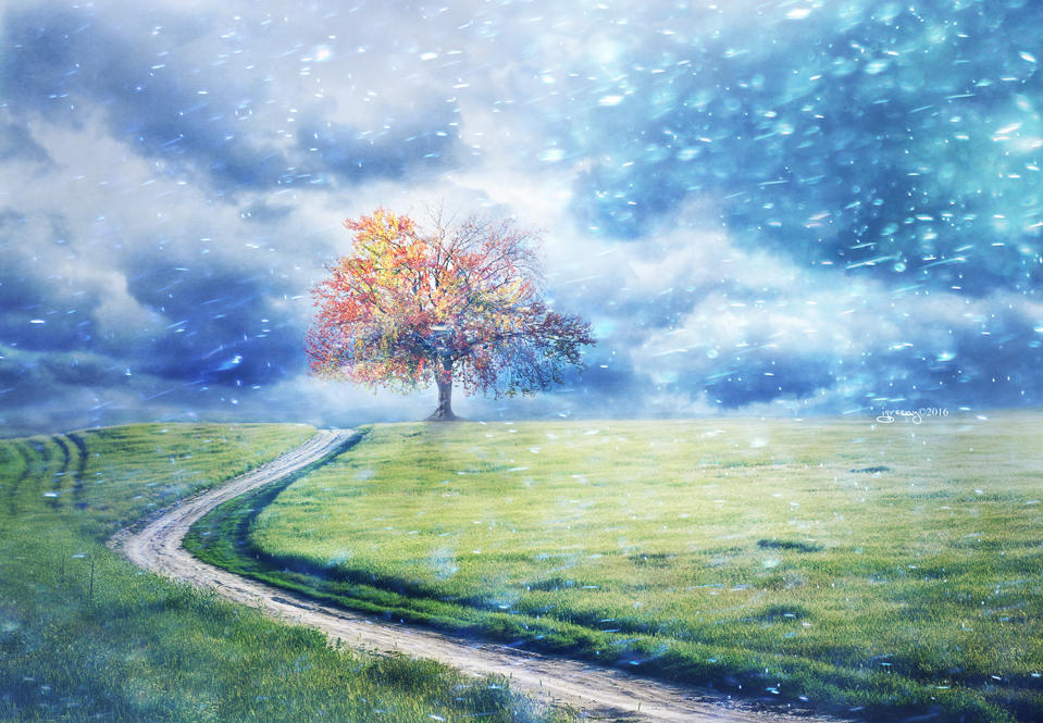 外汇交易者的五个成长阶段解析