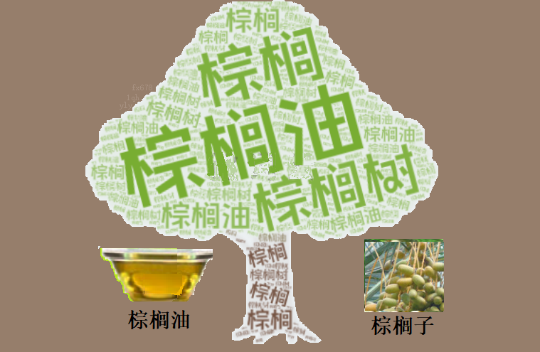 棕榈油市场分析：马棕期货连续两日反弹回升